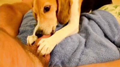 Dog girl anal: school girl dog