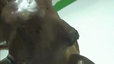 Bestiality video: ukrayna sex zoo