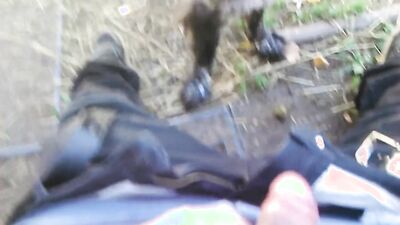 Animal porno: zoo porn pony burno