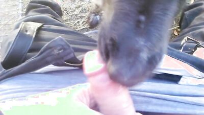 Animal porno: zoo porn pony burno