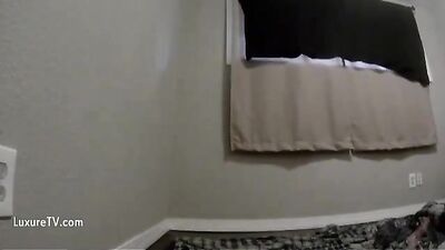 Gay zoo porn: mandy foxxy catnap x dog day sex