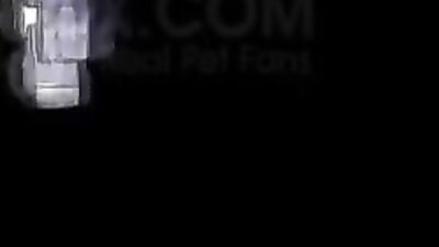 Dog sex girl: rule 34 prolapse zoophilia pics