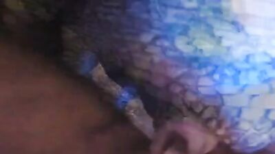 Bestiality dog: dogs sex animal porn