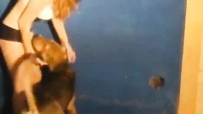 Bestiality dog: teen home zoophilia