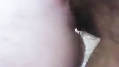 Dog teen girls: animal zoo porn 2026