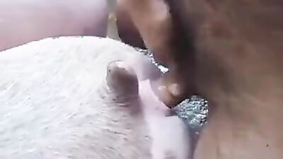 Dog teen girls: animal zoo porn 2026