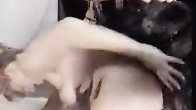 Girl cat dog: hot girls having sex with a dog