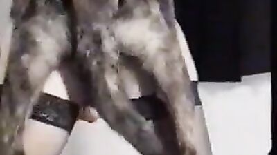Girl cat dog: hot girls having sex with a dog
