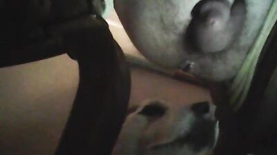 Dog porn video: missionary dog girl