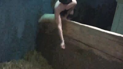 Bestiality xxx: animal sex scene