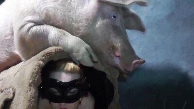 Bestiality xxx: animal sex scene