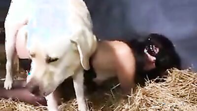 Dog fucking girl: vk video zoo porno