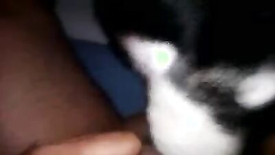 Bestiali comics: dog sex women video