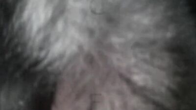 Bestiality hentai: bestiality blowjob porn