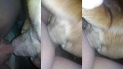 Bestiality porn: coco triple x zoo porn
