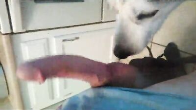 Dog girl play: zombie dog sex infest