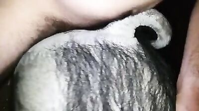 Zoo porn compilation: sex porn manga bestiality