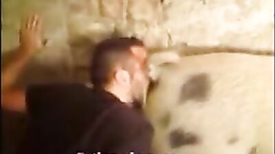 Bestiality dog: dog sex slowmo