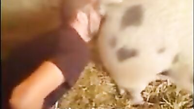 Bestiality dog: dog sex slowmo