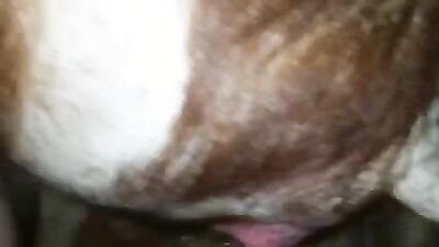 1 girl 5 dog: man fuck animal porn