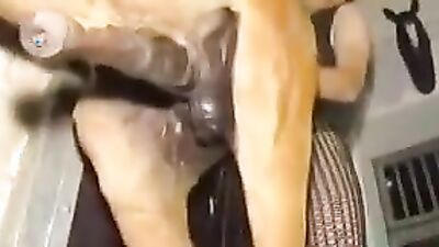 Zoo sex porn: art of zoo sweet harmony