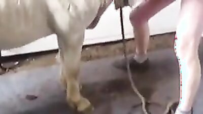 Animal sex: zoo porn videos omegle