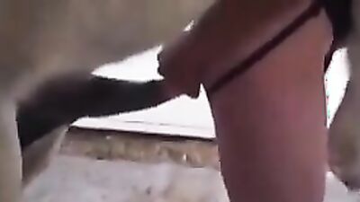 Animal sex: zoo porn videos omegle