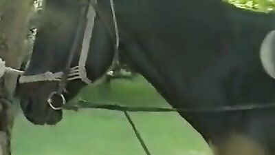 Zoo video: bestiality teen