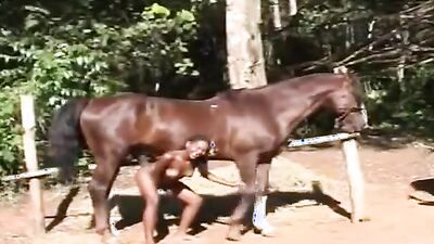 Animal sex porn: brand new animal palcomix porno comic