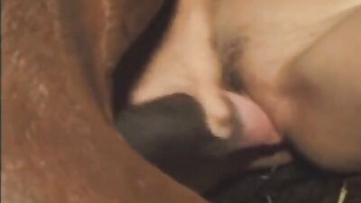 Animal sex video: tries dog sex