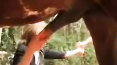 Dog's porn: free hot videos zoo models