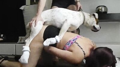 Dog sex video: zoo porno horse sex