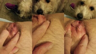 Bestiality zoo: bestiality video rule