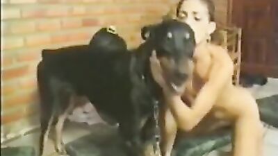 Animal sex porn: dog sex telegram kanal