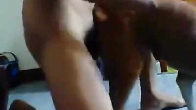 Dog girl play: girls sex camel animal