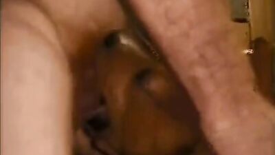 Dog pussy girls: dog zoophilia porn