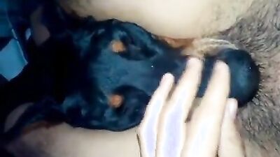 Zoo fucking porn: girls fucking animals bestiality pussy anal