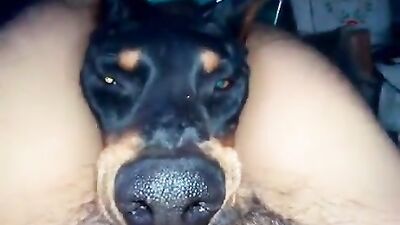 Zoo fucking porn: girls fucking animals bestiality pussy anal