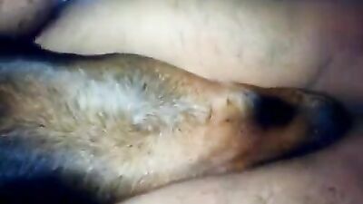 Zoo fucking porn: girls fucking animals bestiality pussy anal