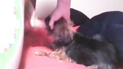 3d dog porn: russian bestiality porno