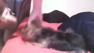 3d dog porn: russian bestiality porno