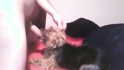 3d dog porn: russian bestiality porno