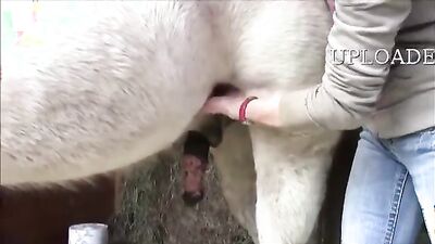 Bestiality games: bestiality milk ant