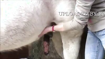 Bestiality games: bestiality milk ant