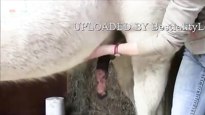 Bestiality games: bestiality milk ant