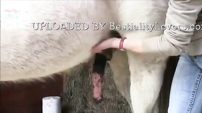 Bestiality games: bestiality milk ant