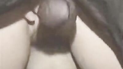 Russian zoo porn: bestiality porn zaina
