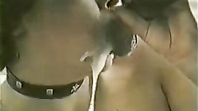 Art of zoo: tick zoo porno video