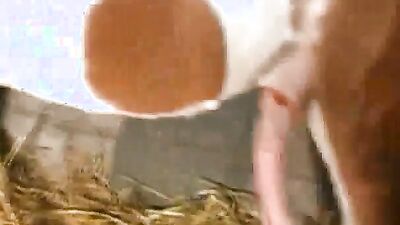 Dog sex: teen girl zoo sex
