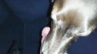 Sex animal's: women having sex with animals